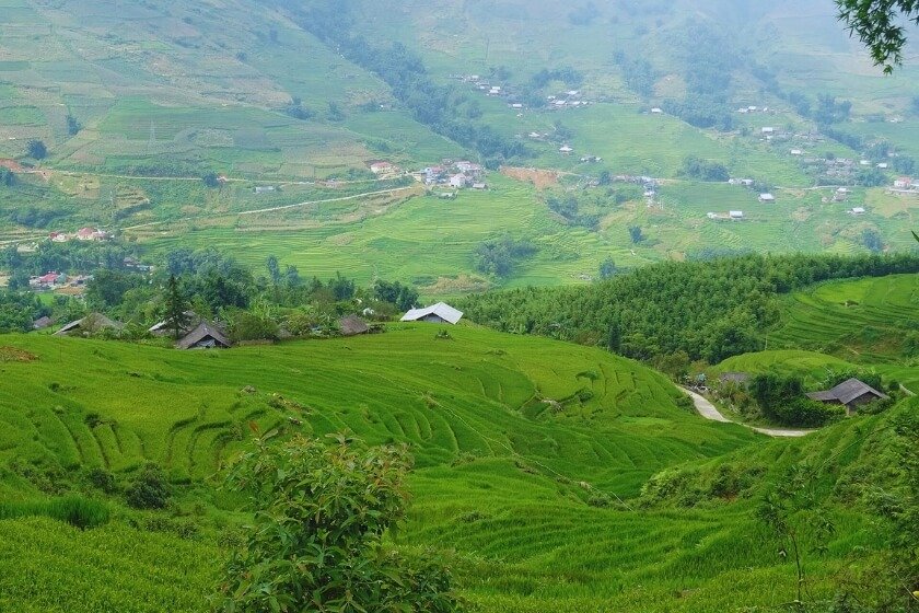 Image gallery